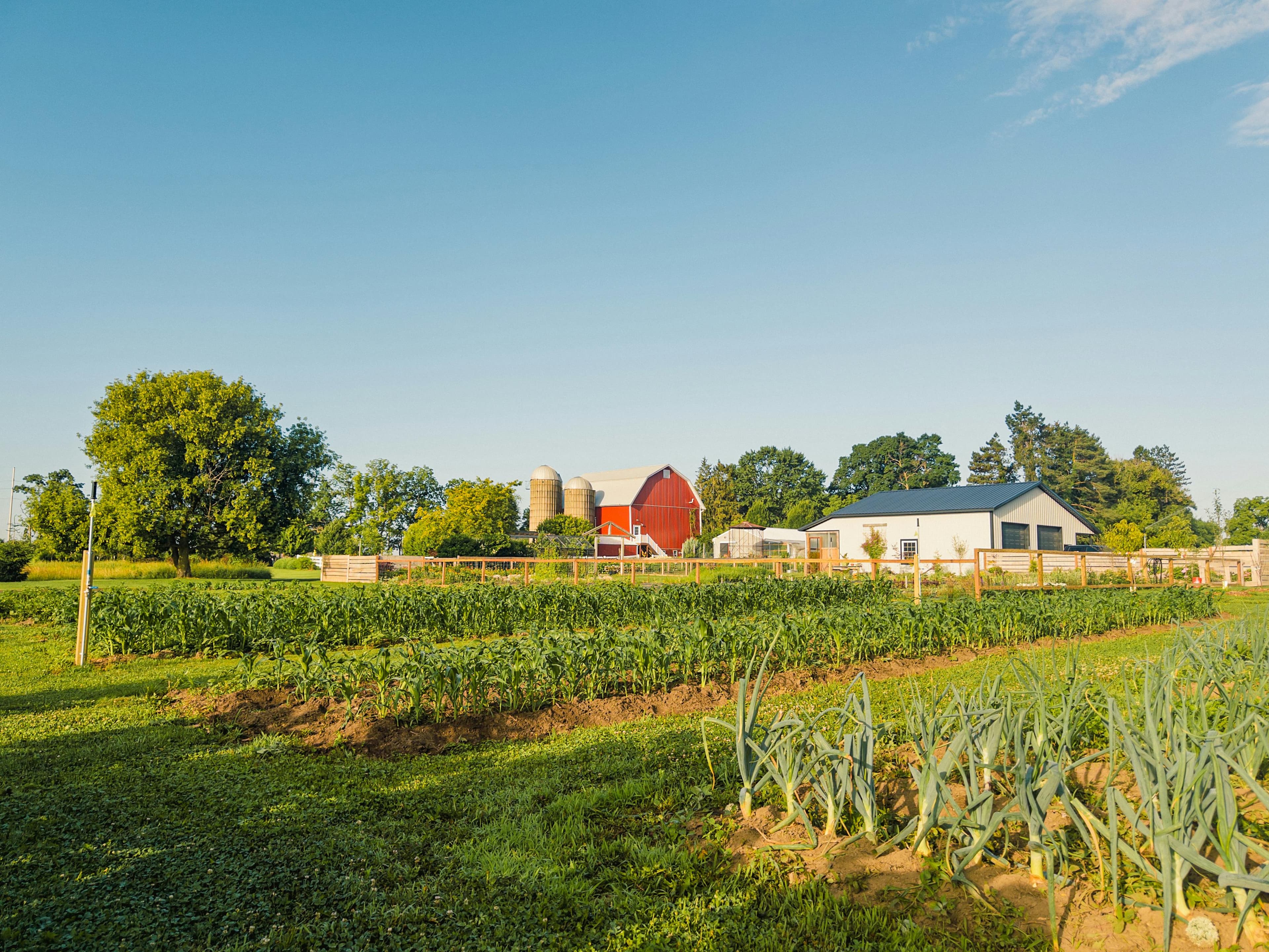 Farm Banner